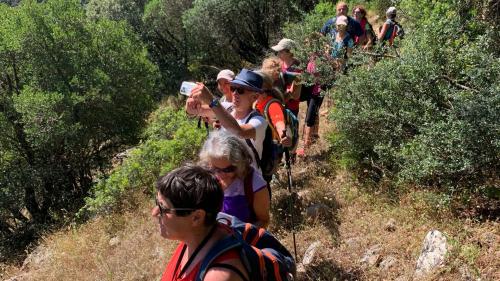 Gruppo di escursionisti durante il trekking panoramico tra Nebida e Masua