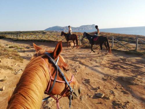 Chevaux au Lago di Baratz