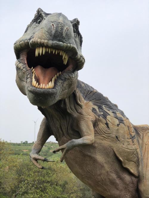 Visit The Bittirex Dinosaur Park In Bitti, Sardinia 