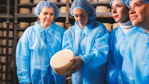 Les participants observent la meule de fromage