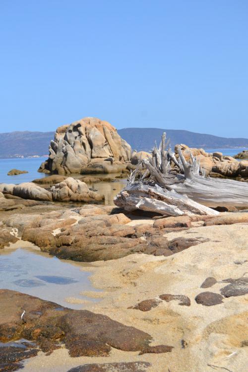 Rocks in Asinara