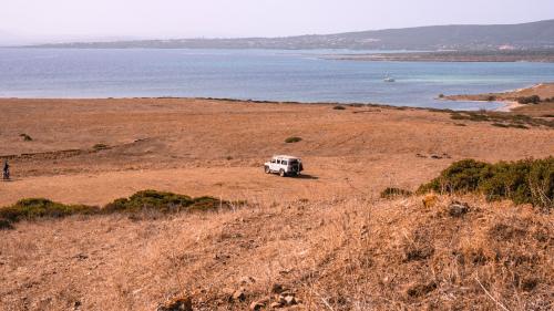 Fuoristrada in mezzo a un campo sull'isola dell'Asinara