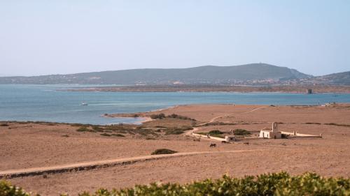 Panorama sull'Asinara