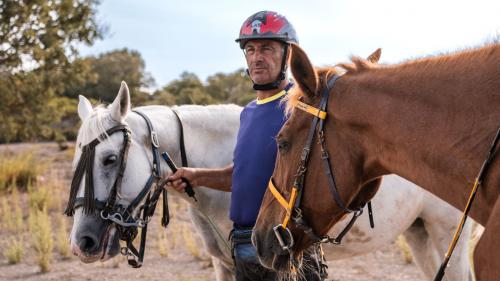 Le guide prépare les chevaux pour la promenade