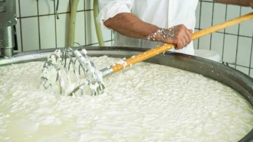 Preparazione del formaggio dal latte a Burgos