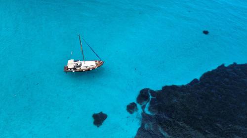 Gozzo navigue dans les eaux bleues de l'Asinara