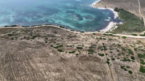 Plage sur la côte de l'Asinara