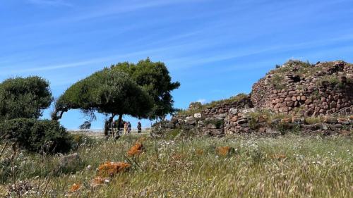 Guided tour of the nuraghe Seruci